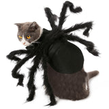 Costumes de chat et de chien en peluche simulés d'araignée poilue, accessoires de fête d'halloween amusants pour chat, déguisement