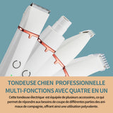 Tondeuse chien 4 en 1 professionnelle 600mah sans fil fondeuse toilettage blanc pour animaux avec câble usb rechargeable pour chat