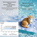 Tapis d'eau pour chat 60 x 90 cm pvc épais grande arrivée d'eau recyclable résistant à l'usure et aux rayures fraîche et durable