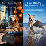 ollier de dressage pour chien 1600 pieds ipx7 anti-fugue électronique invisible pour chiens avec 2 colliers clôture électronique