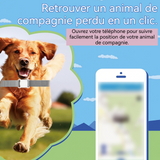 Traqueur GPS INN® 45x33x10mm Dispositif anti-perte d'objets localisateur GPS suivi global positionnement polyvalent Étanchéité IP67