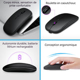 Souris sans fil 2,4 GHZ 600mah Souris d'ordinateur optique sans fil USB portable avec récepteur USB Prise en main confortable