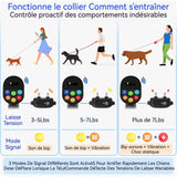 Anti-aboiement 21x 6cm 9 niveaux d'intensité Anti-explosion intelligent Pour chiens de taille moyenne et grande Laisse pour chien