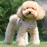 Laisse pour animaux  Chiens de petite et moyenne taille  Convient pour une poitrine de 35 à 39 cm  Universel pour chiens et chats