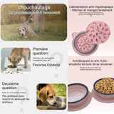 Bol pour animaux en silicone pliable 2 en 1 double bol portable gamelle pour chien et chat anti glouton pour marche et voyages