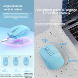 Souris sans fil 2,4g bluetooth 5,2 800-1200-1600 dpi une forme ergonomique dans la paume la main souris sans fil rechargeable bleu