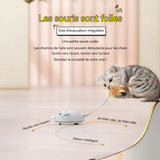 Jouet souris électrique jouets pour animaux de compagnie pour chats  amuser et divertir des produits pour animaux rechargeable