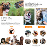 Anti aboiement chien 2000mAh 25khz répulsif à ultrasons pour chiens à double tête avec 3 modes ultrasoniques et lampe de poche