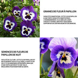 Graines de fleur à papillon 500 graines de fleurs période de floraison 6-8 mois graines fleurs fleurs ornementales graine de fleur