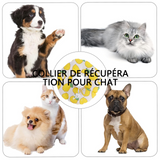 Collier de récupération pour chat 16 à 29 cm plage réglage pèse environ 5 livres Couverture de beauté collier chien de capuche chat