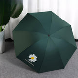 Parasol 8 baleines en plastique noir protection solaire parapluie capsule parapluie mini parasol parapluie de poche vert