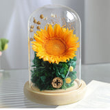 Couverture en verre de tournesol, vraie fleur immortelle, produit fini, ornements pour cadeaux d'anniversaire et de saint-valentin