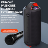 Enceinte bluetooth 30W 1800mAh enceinte portable avec bass puissantes etanche IPX6 subwoofer à 360 degrés double appairage stéréo