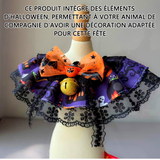 ollier d'halloween pour animaux compagnie S taille harnais animal sellerie attache pour animaux de compagnie jusqu'à 8kg animalerie