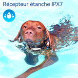 Collier de Dressage pour Chiens 3Modes Son/Vibration/Choc Statique Résistant à l'eau IPX7 Portée 300 Mètres pour Gros et Petit Chien