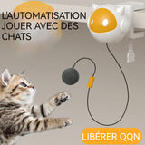 Jouet interactif pour chat 7,1x 8,2cm 5 minutes pause automatique après jouet automatique pour chat boule levage intelligente chats