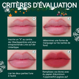 Ensemble de crayon à lèvres 12 couleurs sans décoloration imperméables et longue durée universel peel off crayon à lèvres de noël