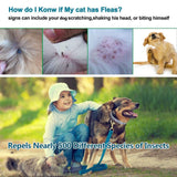 Fournitures pour animaux de compagnie en plein air chat anti-puces chien insectifuge anti-moustique anti-puces collier réglable