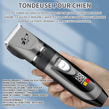 Tondeuse chien 18,5x4,5cm tondeuse pour chien avec 4 peignes et USB affichage LED à cristaux liquides trois vitesses tondeuse chat