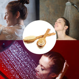 Brosse Dos Douche Double Face Soies Naturelles Bambou Manche Long avec Cordon Nettoyage Profond Exfoliation Douce Massage Corporel