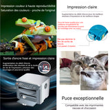 Cartouche d'encre Cartouche d'imprimante 603XL 603 T603XL compatibles avec cartouche d'encre couleur cartouche de remplacement