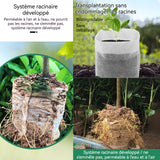Sac de plantation 200PCS 12x12cm 24x27cm sac de semis non tissé matériau écologique et dégradable sac de semis pour petit jardin
