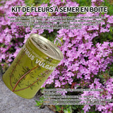 Graines Boîtes de graines de thym Mini plantes en pot créatives peuvent graines 9x6.5 cm Kit de semis de plantes en boîte de bureau