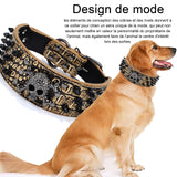 Collier pour chien crâne avec rivets réglable laisse de chien convient aux chiens moyens et grands collier pour animal compagnie