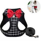 Petit chien harnais marche chien chat corde ensemble chat personnalité poitrine dos Traction corde mignon chat chien harnais