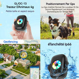 Collier gps 4G avec lumières LED colorées GPS BDS traqueur d'animaux traceur gps pour animaux localisateur pour chats et chiens