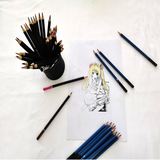 Ensemble de crayons de couleur de haute qualité dessin couleur plomb professionnel adulte 54 pièces sac en nylon dessin papet