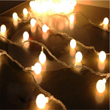 TD® 220V ue Plug guirlande lumineuse LED boules chaîne lampe vacances chaîne lumières mariage maiso - Modèle: Warm White