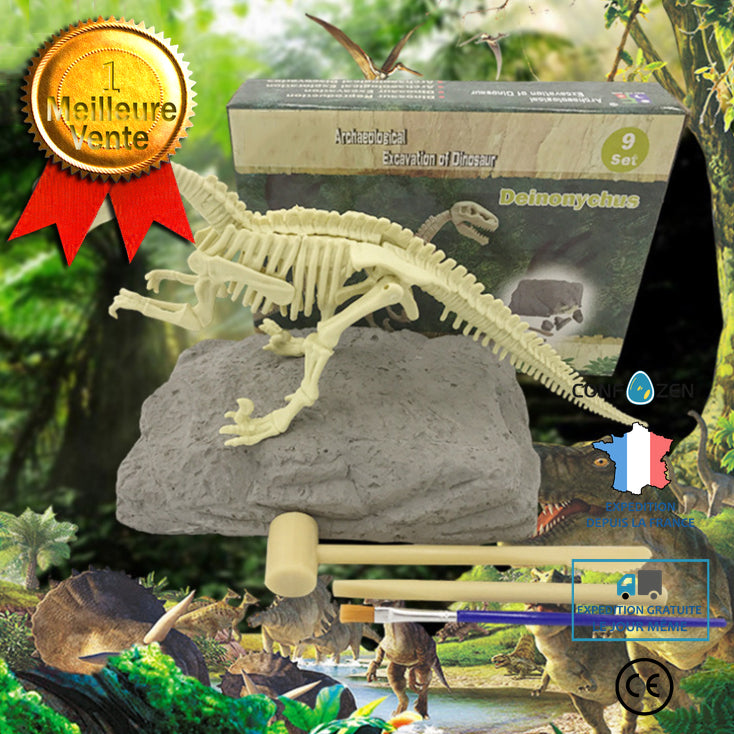 Squelette de dinosaure à assembler réaliste archéologie Cadeau Noël fossilles t rex tyranosaure dinosaure Cadeau Noël Anniver