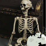 TD® Squelette en plastique 90cm  Blanc Squelette humain A suspendre  Squelette en plastique Conçu pour les décorations d'Halloween