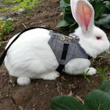 Lapin corde de traction S coton tissu lapin gentleman robe pour marcher chat corde chiot chien fournitures pour animaux de co