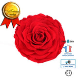 Fleur éternelle simple 6-7cm cadeau de fleur de tête de rose cadeau de saint valentin rose rouge fleur éternelle cadeau de fl