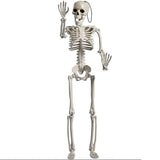 TD® Squelette en plastique 165cm  Blanc Squelette humain A suspendre  Squelette en plastique Conçu pour les décorations d'Halloween