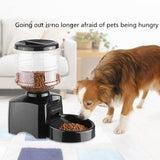 TD® Distributeur automatique pour chien chat animaux de compagnie nourriture alimentation croquettes 5.5 litres programmable manger