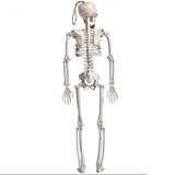 TD® Squelette en plastique 165cm  Blanc Squelette humain A suspendre  Squelette en plastique Conçu pour les décorations d'Halloween