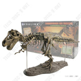 TD® squelette Dinosaure à assembler réaliste enfant jouet jurassic world anniversaire Tyrannosaure fossile os simulation éducatif