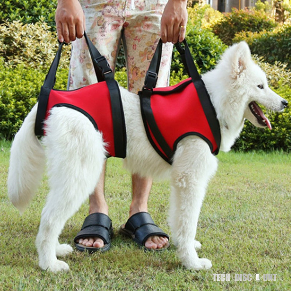 TD® Harnais pour chien anti traction accessoire animal de