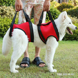 TD® harnais chien anti traction grande taille gros ceinture aide a la marche animaux de compagnie gilet sangle laisse domestique