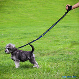 TD® laisse reflechissante chien petit courte chat course pied voiture corde retractable gros elastique adulte animaux de compagnie