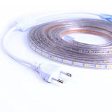 INN® Ruban LED Etanche Bande LED SMD 5050 220V Flexible Lumineuse avec Prise, 3M