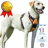 TD® Harnais pour chien anti traction accessoire animal de compagnie chien alliage de zinc poitrine dos du chien