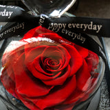Fleur éternelle 6-7cm 3 cadeau de fleur de tête de rose, cadeau de Saint Valentin, cadeau de fleur de fleur éternelle de rose