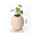 TD® Œuf à plante kit à planter jardin miniature intérieur extérieur décoration jardinage écologique amateur prêt à planter soi-même