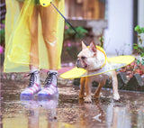 vêtement de pluie petit chien anti pluie habit protection animaux de compagnie étanche coupe vent disque manteau abris waterp