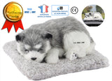 TD® purificateur d'air en chien husky voiture maison de bureau desodorisant humidificateur bébé peluche neutralisant odeur permanent