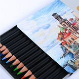 Ensemble de crayons de peinture de couleur 12, peinture de figure, peinture de paysage, peinture végétale, boîte de fer au pl